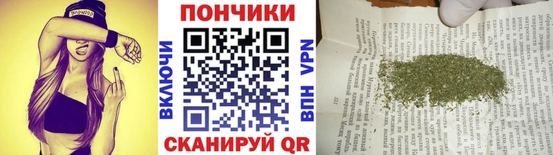 Купить где  Сухой Лог  Каннабис гибрид 